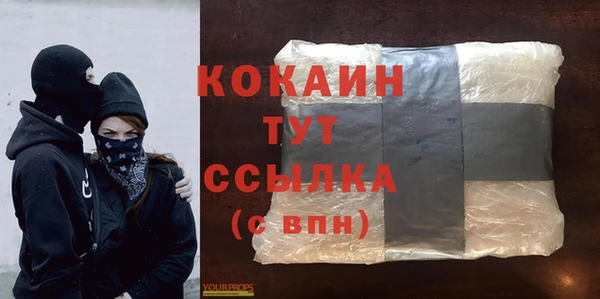дживик Володарск