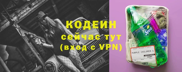 СК Волосово