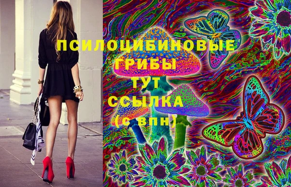 СК Волосово