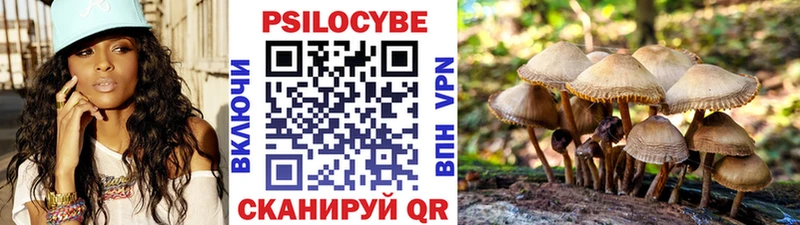 Галлюциногенные грибы Psilocybe  Купить где  Брюховецкая 